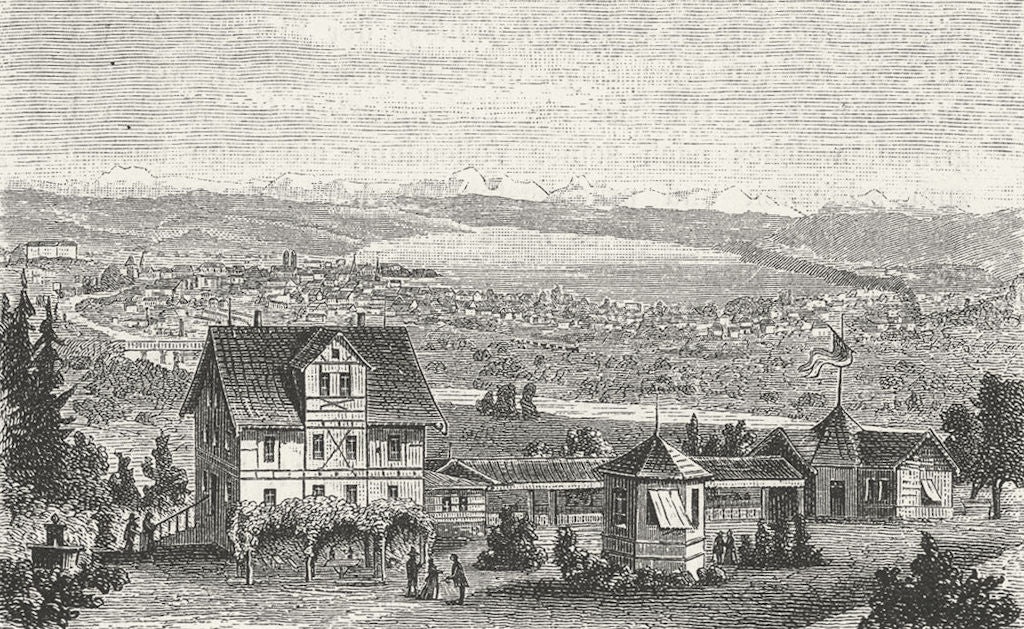 ZURICH. Die Waid. Weber 1879 old antique vintage print picture